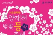 서초구, '양재천 벚꽃 등(燈) 축제' 개최
