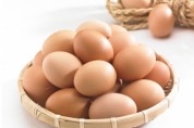 계란이 건강에 좋은 7가지 이유