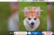 경기도, 다음포털과 협업…반려동물 입양 문화 확산 공익캠페인