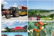 농식품부, 농촌관광 1등급 받은 ‘으뜸촌’ 23곳 선정