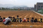 경기도, 화성 동탄·용인 흥덕에 도민텃밭 경작자 모집